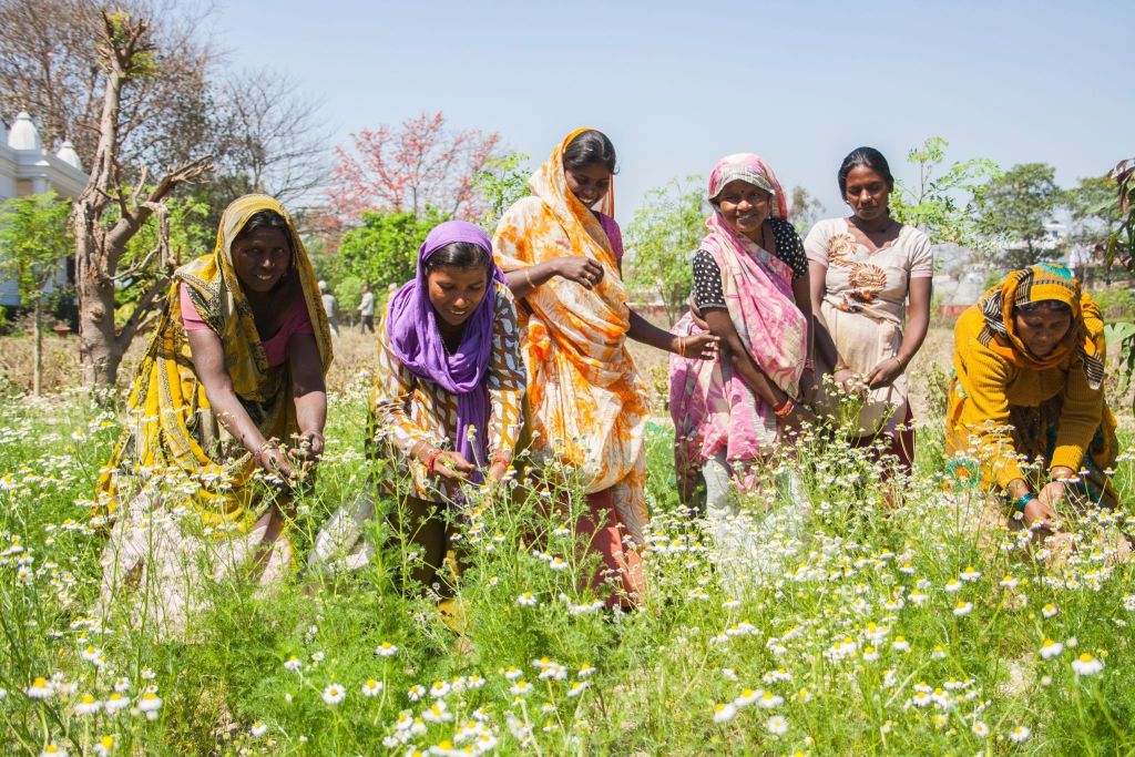 Organic India Sustainable Farming